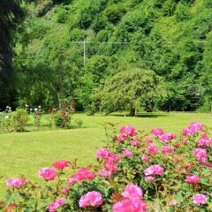 Отель B&B Petit Chateau Les Tourelles