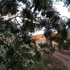 Отель Finca La Gitanilla фото 16