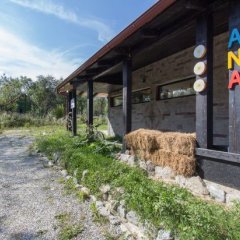 Ana Bed And Breakfast in Vistisoara, Romania from 93$, photos, reviews - zenhotels.com photo 10