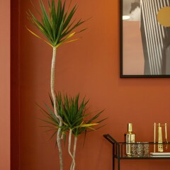 Апартаменты Coziest Studio in Condesa Мехико фото 6