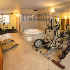 Отель Luxury Family Hotel Bila Labut Чехия, Прага - - забронировать отель Luxury Family Hotel Bila Labut, цены и фото номеров фитнесс-зал фото 3