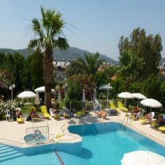 Olympos Hotel с домашними животными