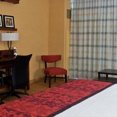 Отель Courtyard by Marriott Ottawa East Канада, Оттава - отзывы, цены и фото номеров - забронировать отель Courtyard by Marriott Ottawa East онлайн фото 2