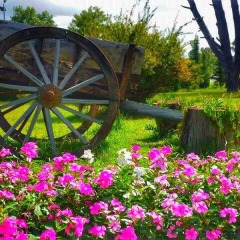 Отель Tropikal Resort Дуррес фото 4