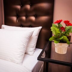 Гостиница Leo Hotel в Москве 12 отзывов об отеле, цены и фото номеров - забронировать гостиницу Leo Hotel онлайн Москва в номере