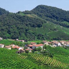 Отель Agriturismo Due Carpini Вальдоббьадене фото 6