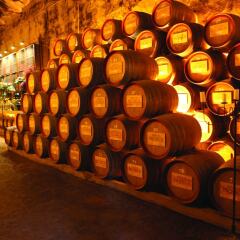 The Wine House Hotel - Quinta da Pacheca гостиничный бар