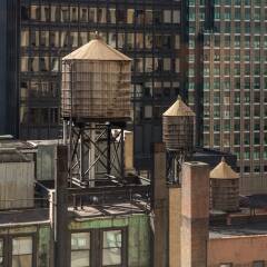 Park Central Hotel New York с домашними животными