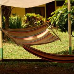 Отель Ilan Ilan Trails & Lodge Коста-Рика, Тортугеро - отзывы, цены и фото номеров - забронировать отель Ilan Ilan Trails & Lodge онлайн фото 5