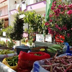 Kumbag Green Garden Pansiyon Турция, Текирдаг - отзывы, цены и фото номеров - забронировать отель Kumbag Green Garden Pansiyon онлайн фото 22