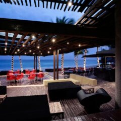 Отель Mosquito Beach Плая-дель-Кармен гостиничный бар