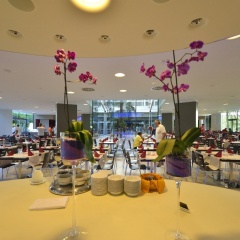 Hotel Laguna Mediteran интерьер отеля