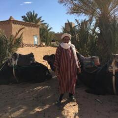 Отель Le Petit Prince Merzouga Марокко, Мерзуга - отзывы, цены и фото номеров - забронировать отель Le Petit Prince Merzouga онлайн с домашними животными
