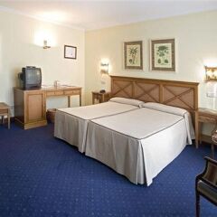 Hotel San Sebastian с домашними животными