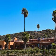 Отель Rancho Tecate Resort фото 5