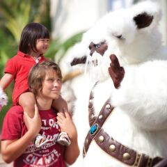 Отель Sol Katmandu Park & Resort Испания, Магалуф - отзывы, цены и фото номеров - забронировать отель Sol Katmandu Park & Resort онлайн помещение для мероприятий