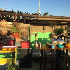 Отель Baja's Cactus Hostel Мексика, Кабо-Сан-Лукас - отзывы, цены и фото номеров - забронировать отель Baja's Cactus Hostel онлайн с домашними животными