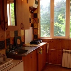 Гостиница U Eleny Guest House в Красной Поляне отзывы, цены и фото номеров - забронировать гостиницу U Eleny Guest House онлайн Красная Поляна в номере фото 2