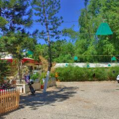 Отель Deep Forest Garden Hotel Филиппины, Пуэрто-Принцеса - 1 отзыв об отеле, цены и фото номеров - забронировать отель Deep Forest Garden Hotel онлайн фото 4