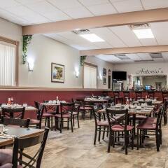 Отель Quality Inn Niagara Falls США, Ниагара-Фолс - отзывы, цены и фото номеров - забронировать отель Quality Inn Niagara Falls онлайн питание фото 2