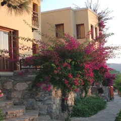 Kairaba Blue Dreams Resort Турция, Голькой - отзывы, цены и фото номеров - забронировать отель Kairaba Blue Dreams Resort онлайн фото 7