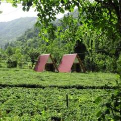Отель Tabiat Bungalows Чамлыхемшин фото 23