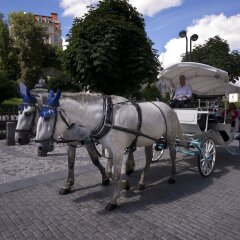 Отель Karla Capka Street Чехия, Карловы Вары - 1 отзыв об отеле, цены и фото номеров - забронировать отель Karla Capka Street онлайн городской автобус