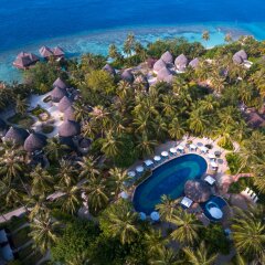 Отель Bandos Maldives Мальдивы, Бандос Айленд - 12 отзывов об отеле, цены и фото номеров - забронировать отель Bandos Maldives онлайн бассейн фото 3