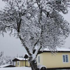 Отель Daskalov Bungalows Боженци фото 17