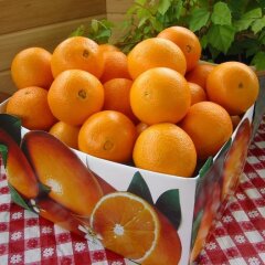Гостиница Жилое помещение Orange в Москве 4 отзыва об отеле, цены и фото номеров - забронировать гостиницу Жилое помещение Orange онлайн Москва