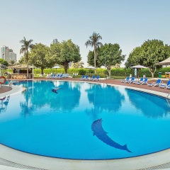 Отель Holiday International Sharjah ОАЭ, Шарджа - 5 отзывов об отеле, цены и фото номеров - забронировать отель Holiday International Sharjah онлайн бассейн