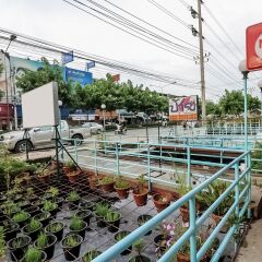 Отель NIDA Rooms Prapha 61 Don Muang спортивное сооружение