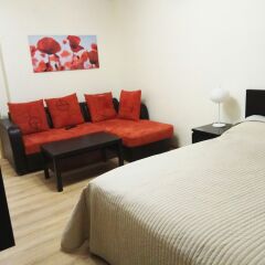 Апартаменты Apartment Hanaka on Kluchevaya 20 комната для гостей