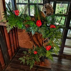 Отель Hôtel Fenua Mata'i'oa Французская Полинезия, Муреа - отзывы, цены и фото номеров - забронировать отель Hôtel Fenua Mata'i'oa онлайн балкон