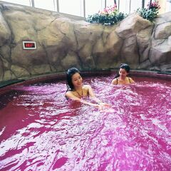 Отель Phoenix Pyeongchang Hotel Южная Корея, Пхёнчан - отзывы, цены и фото номеров - забронировать отель Phoenix Pyeongchang Hotel онлайн с домашними животными