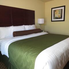 Отель Cobblestone Inn & Suites -- Hartington, Ne Хартингтон комната для гостей