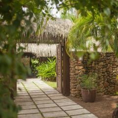 Отель Sofitel Moorea la Ora Beach Resort Французская Полинезия, Папеэте - 1 отзыв об отеле, цены и фото номеров - забронировать отель Sofitel Moorea la Ora Beach Resort онлайн фото 7