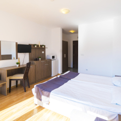 Admiral Plaza Hotel Солнечный берег удобства в номере