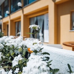 Отель MORRIS Римини помещение для мероприятий фото 2