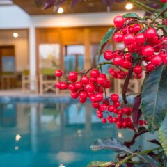 Отель Unity Villa Hoi An Хойан бассейн фото 3