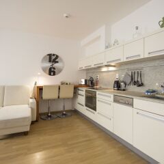 Апартаменты Luxurious Apartment near Prague Castle в номере фото 2
