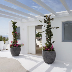 Livin Mykonos Hotel интерьер отеля фото 2