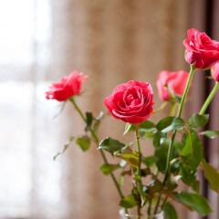 Отель Silk Queen Hotel Вьетнам, Ханой - отзывы, цены и фото номеров - забронировать отель Silk Queen Hotel онлайн интерьер отеля