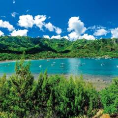 Отель Nuku Hiva Keikahanui Pearl Lodge