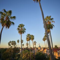 The Beverly Hills Hotel фото 16