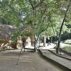 Отель Ella Jungle Resort Шри-Ланка, Бандаравела - отзывы, цены и фото номеров - забронировать отель Ella Jungle Resort онлайн приотельная территория