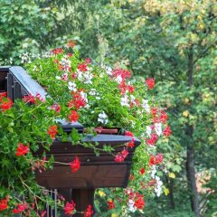 Отель Park Hotel Izvorite Болгария, Сливен - отзывы, цены и фото номеров - забронировать отель Park Hotel Izvorite онлайн