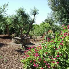 Отель Finca La Luz Bed & Breakfast фото 2