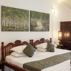 Отель Plantation Villa Ayurveda Yoga Resort комната для гостей фото 4