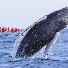 Отель Posada Real Los Cabos спортивное сооружение